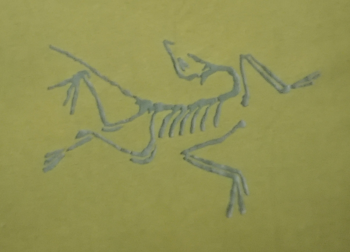 (L) Arc'teryx Archaeopteryx T-Shirt тениска