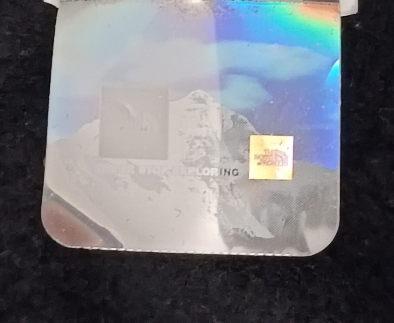 (ДАМСКО) (XL) The North Face Sweatshirt горнище