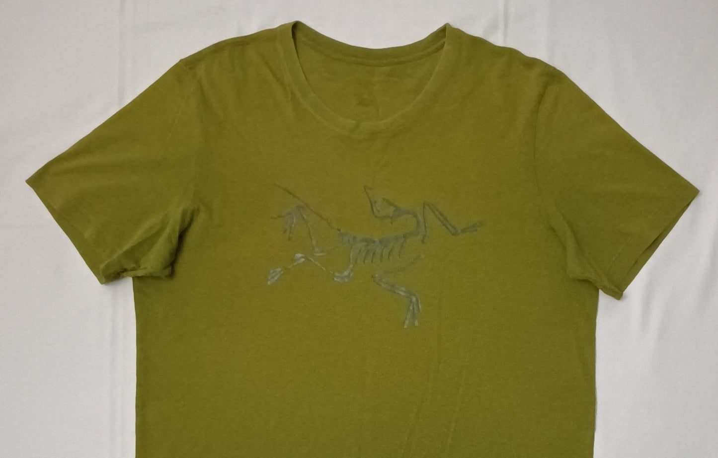 (L) Arc'teryx Archaeopteryx T-Shirt тениска