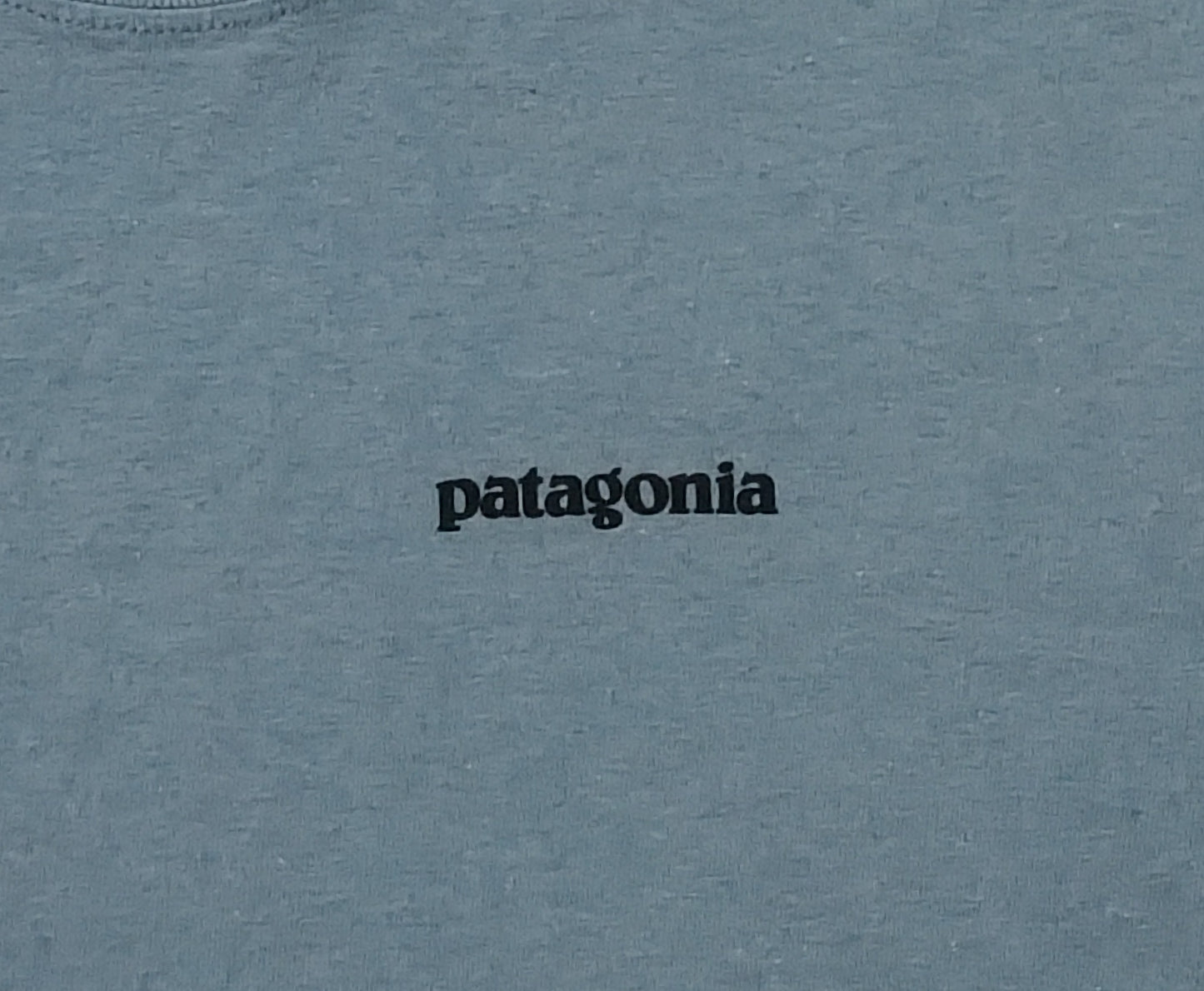 (S) Patagonia тениска