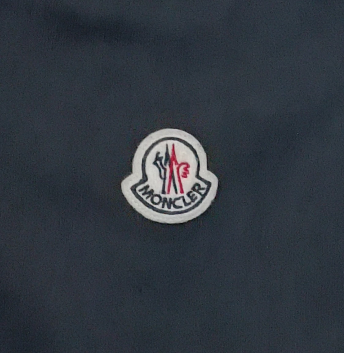 (L) Moncler Sweatshirt горнище