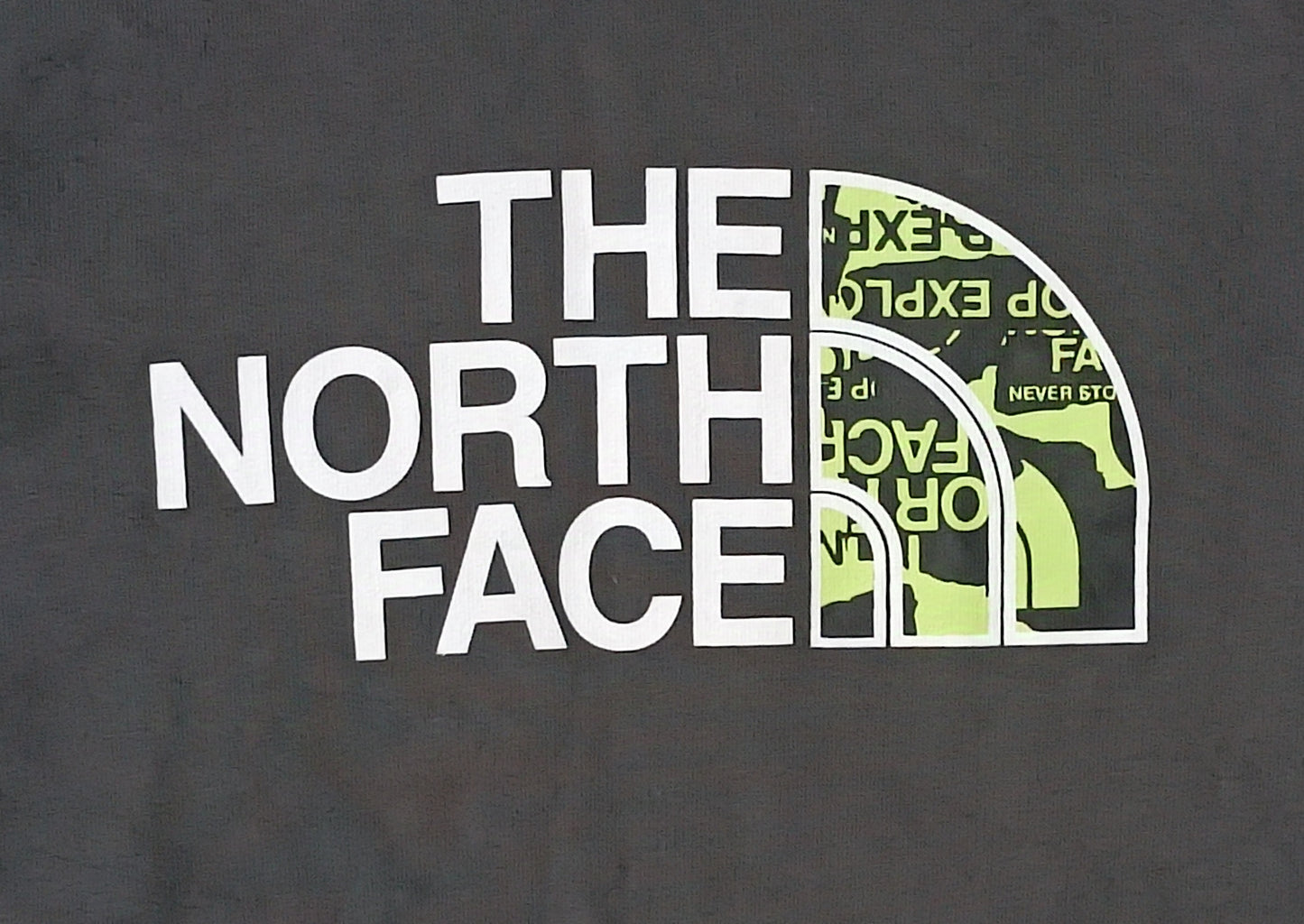 (ДЕТСКО) (Ръст 147-158см) The North Face Hoodie горнище