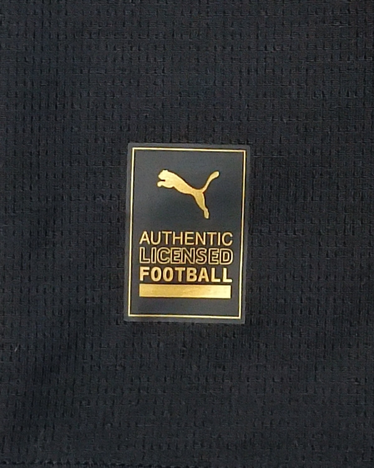 (XL) Puma Galatasaray 2024/25 Third Jersey тениска