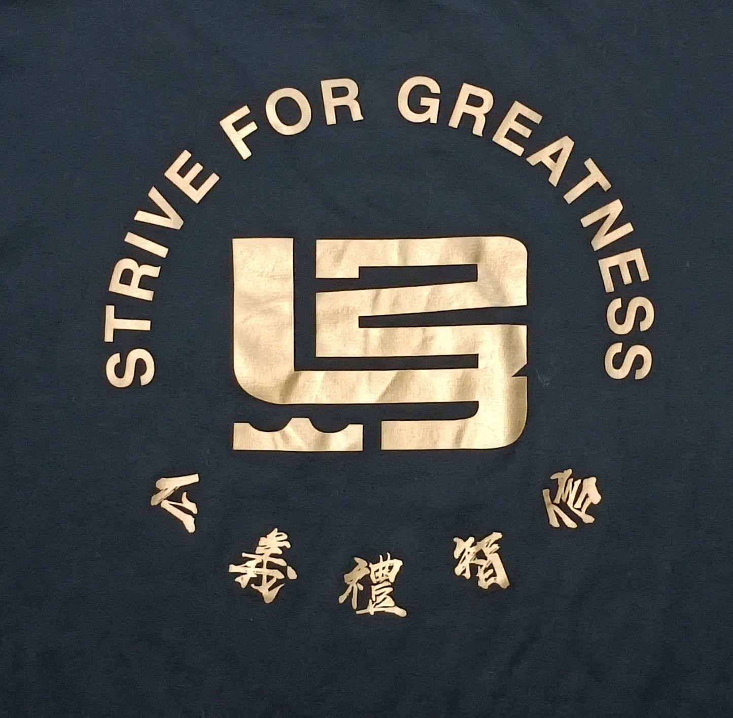 (S) Nike DRI-FIT LeBron James Strive for Greatness Tee тениска