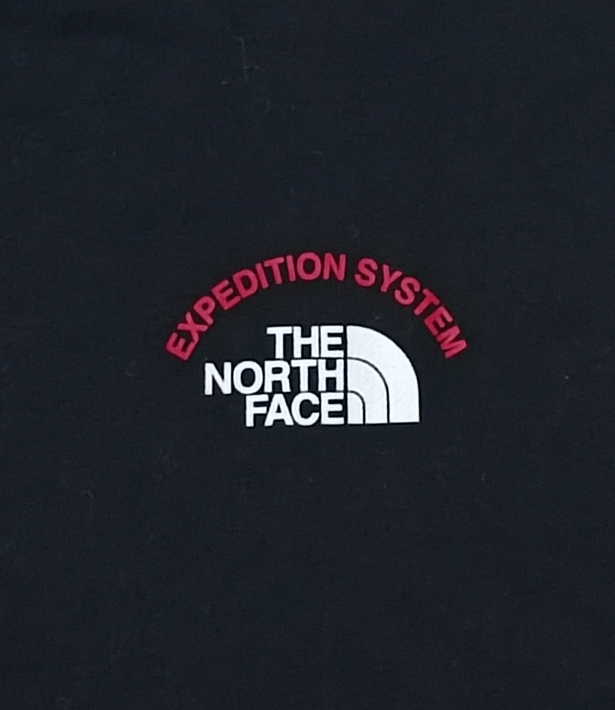 (L) The North Face горнище