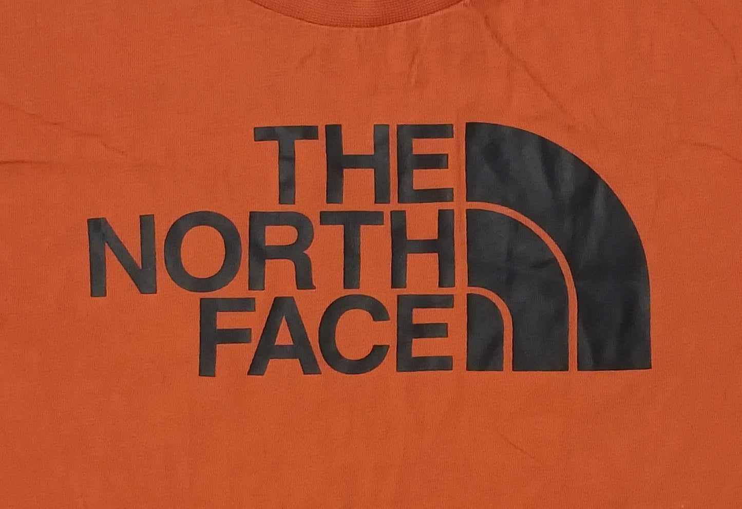 (ДЕТСКО) (Ръст 137-147см) The North Face Tee тениска