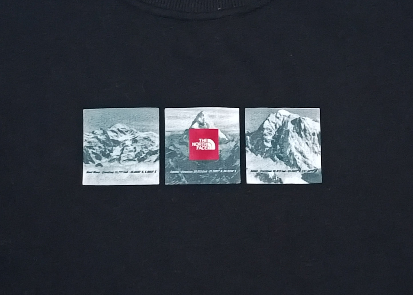 (L) The North Face горнище
