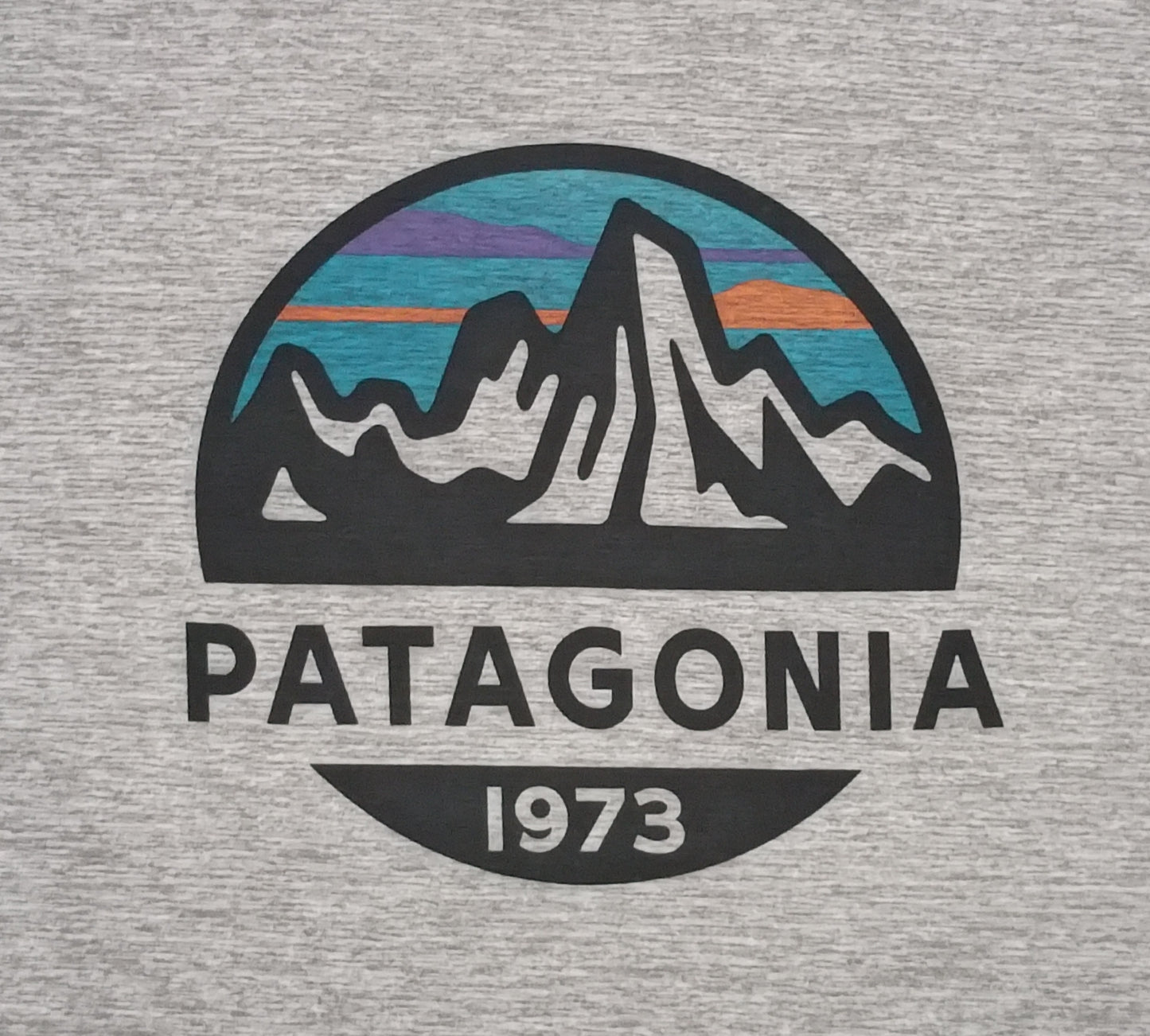 (XS) Patagonia Tee тениска