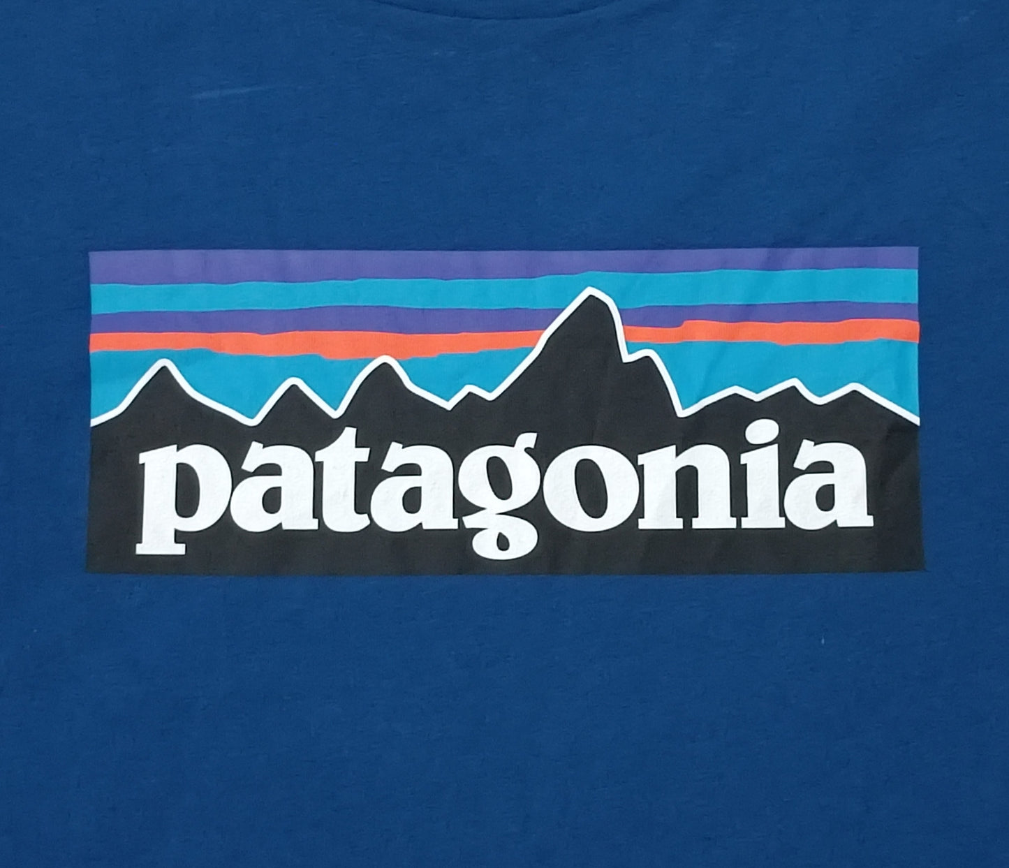 (ДЕТСКО) (Ръст 158-170см) Patagonia Shirt тениска