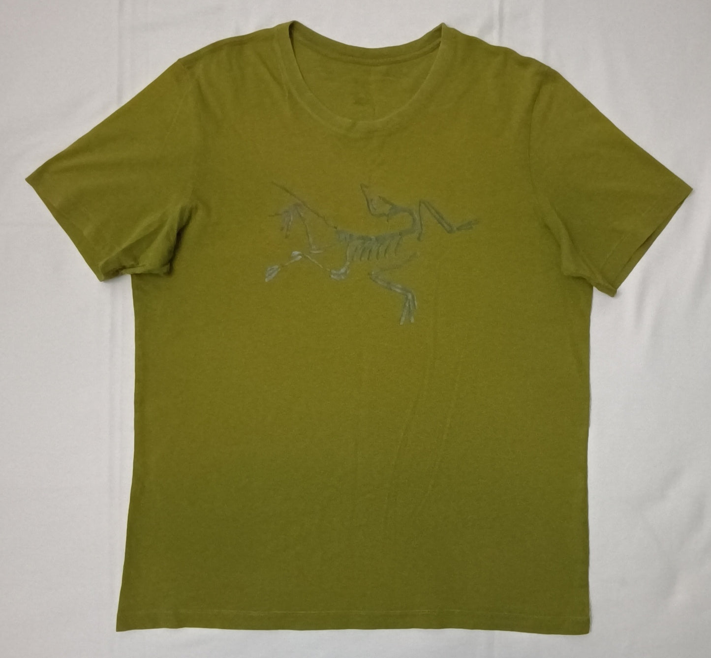 (L) Arc'teryx Archaeopteryx T-Shirt тениска