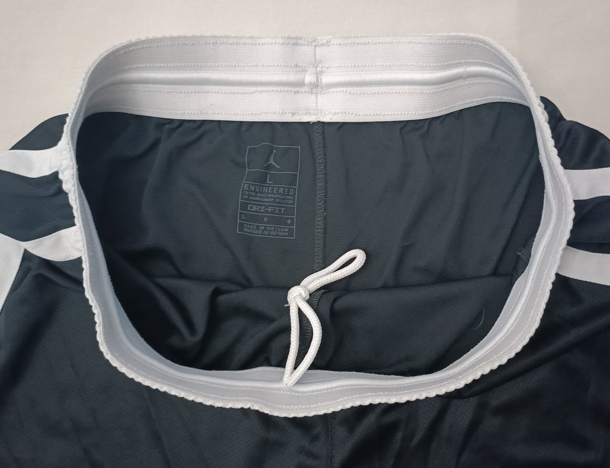 (L) Jordan AIR Nike Shorts шорти