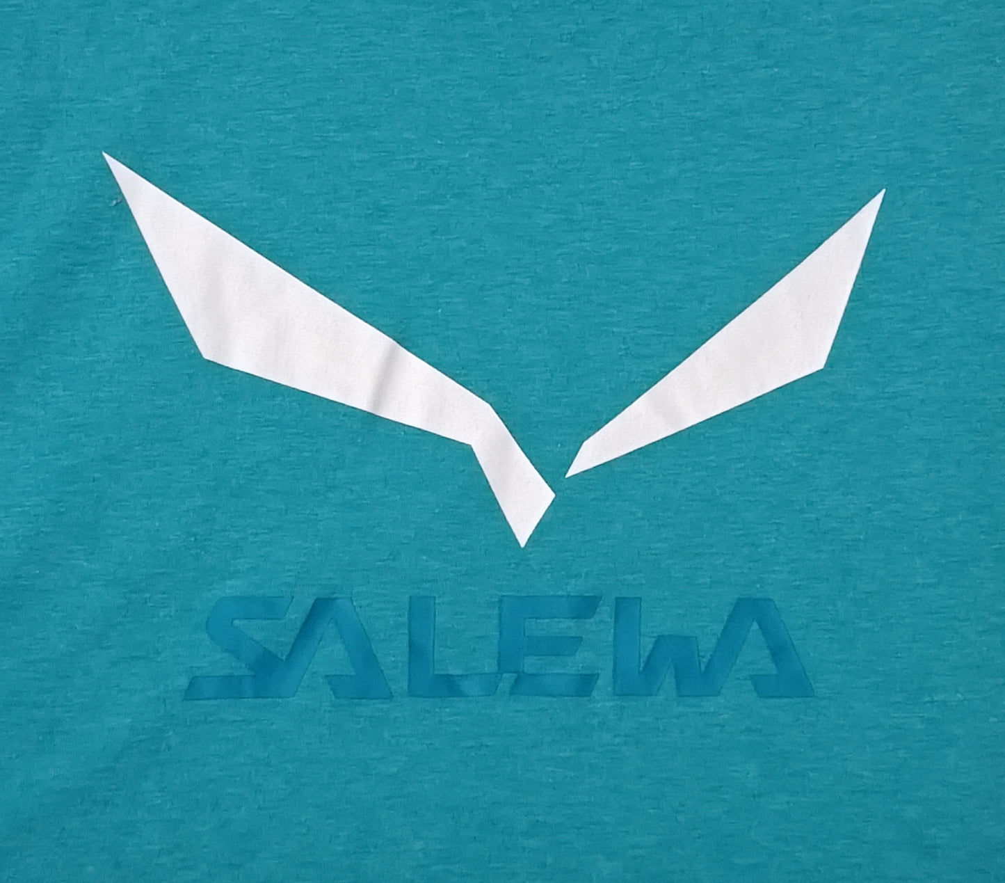 (XL) Salewa Solidlogo DRI-REL Tee тениска