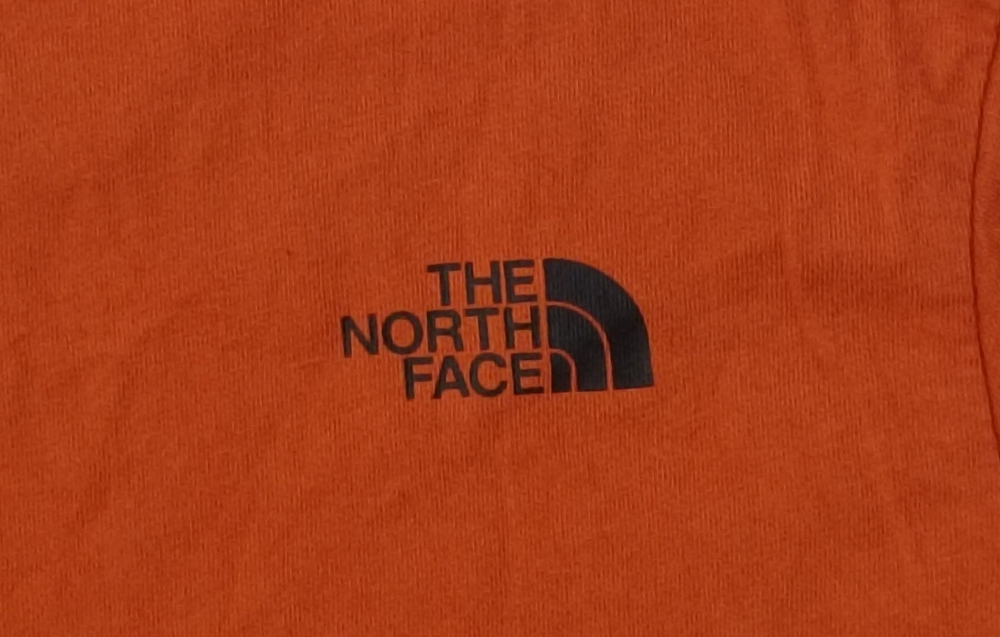 (ДЕТСКО) (Ръст 137-147см) The North Face Tee тениска