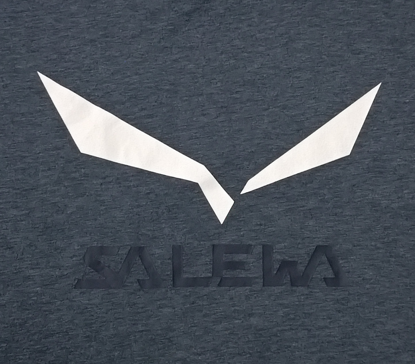 (M) Salewa Solidlogo Dry Tee тениска