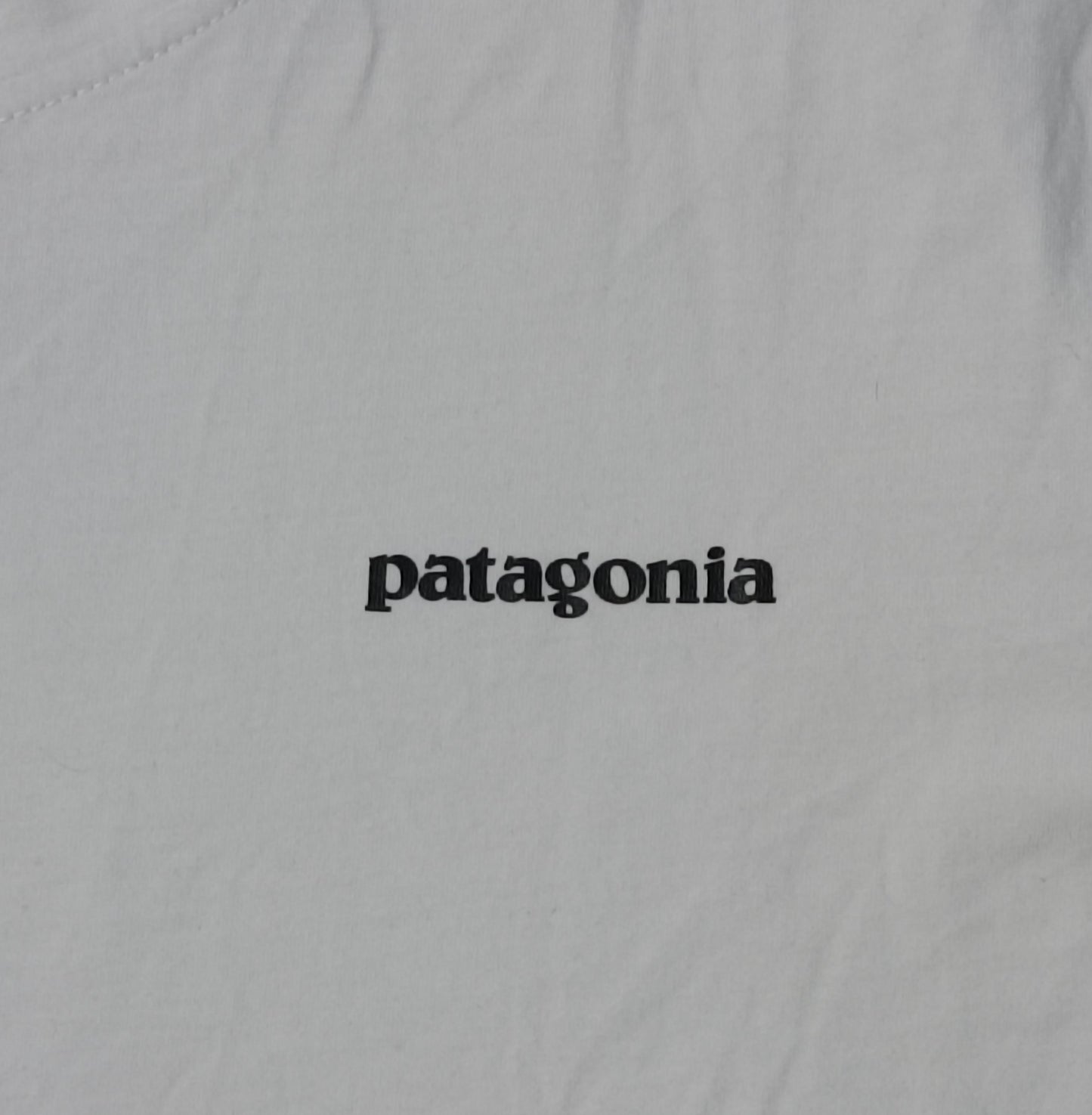 (L) Patagonia Responsibili Tee тениска