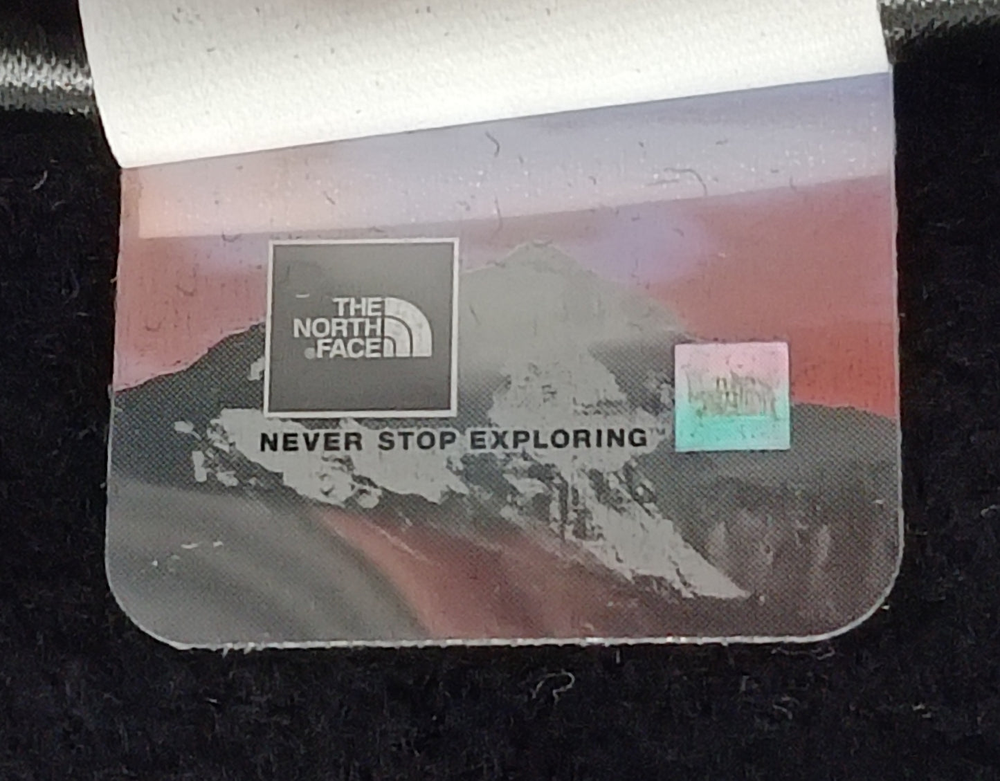 (L) The North Face горнище
