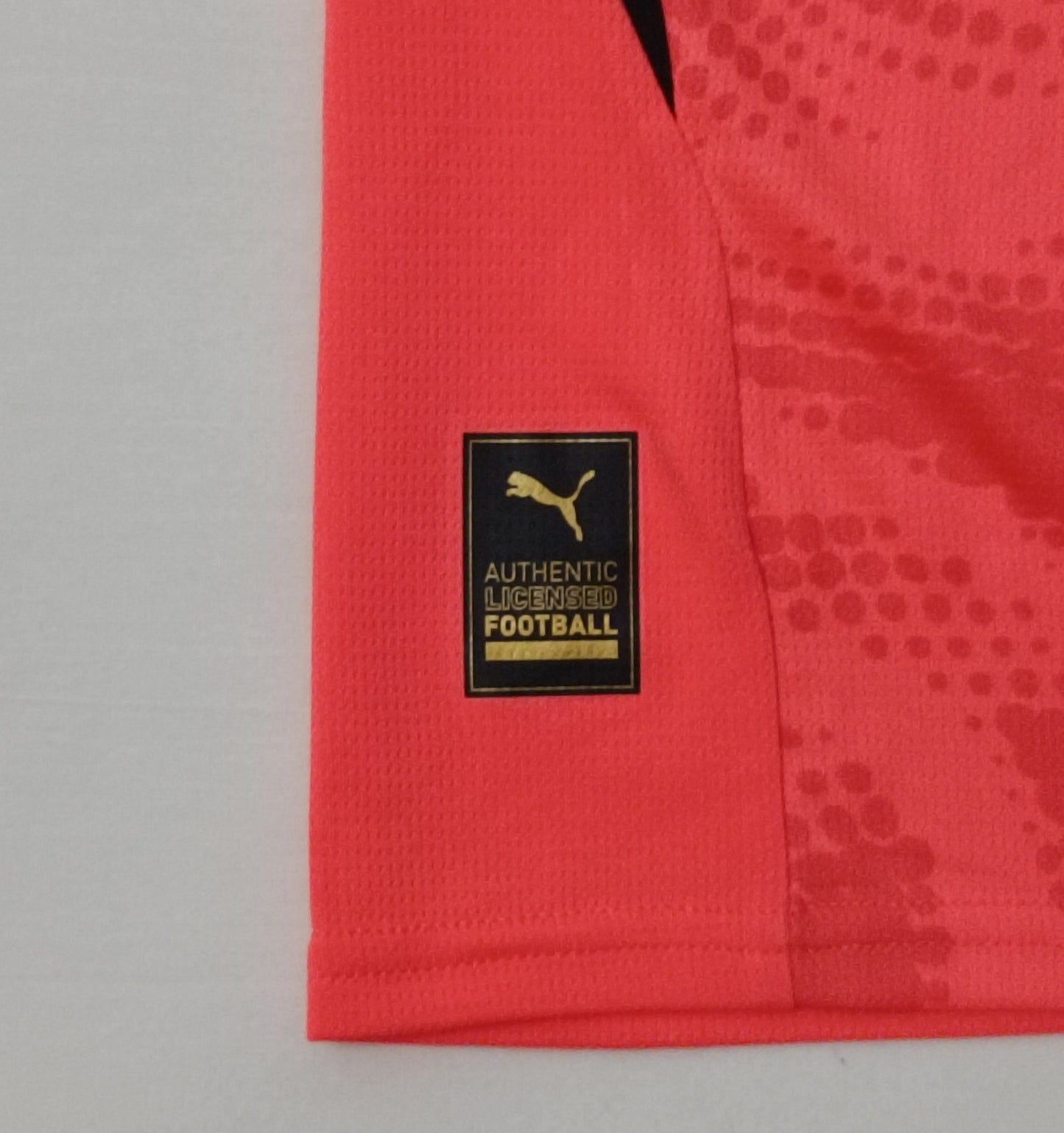 (ДЕТСКО) (Ръст 140-152см) Puma Borussia Dortmund #1  2024/25 Jersey тениска