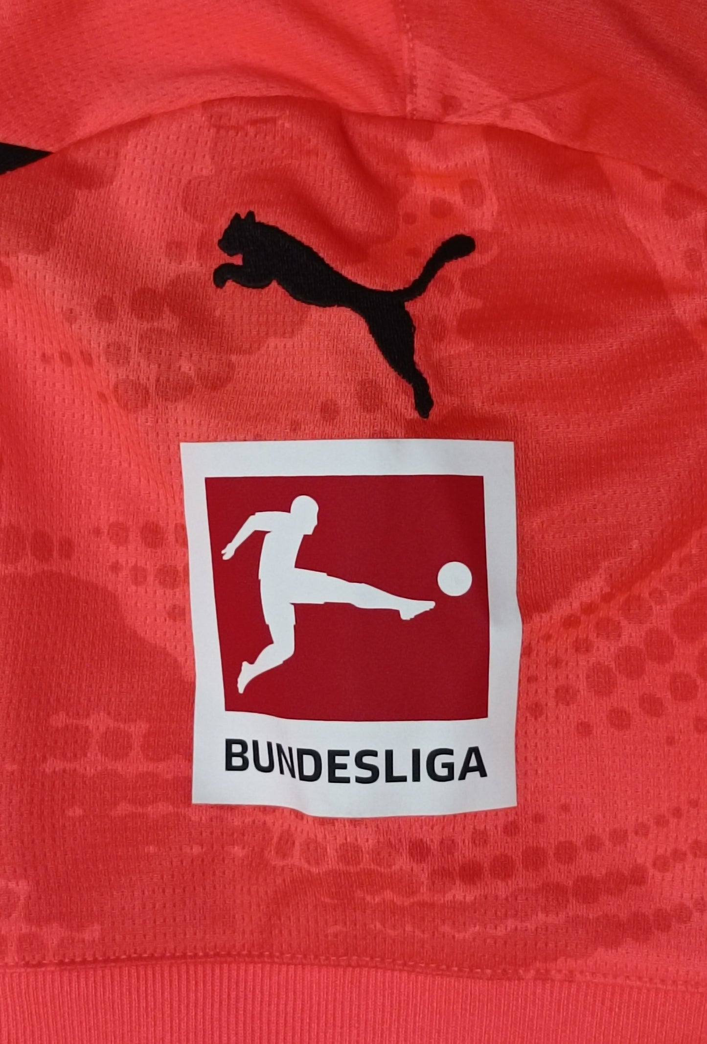 (ДЕТСКО) (Ръст 140-152см) Puma Borussia Dortmund #1  2024/25 Jersey тениска