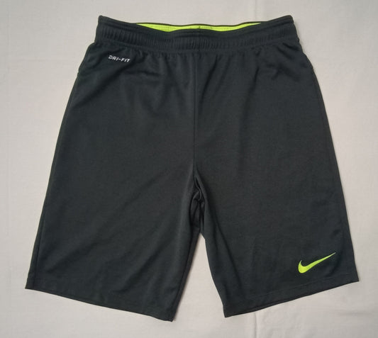 (M) Nike DRI-FIT Shorts шорти