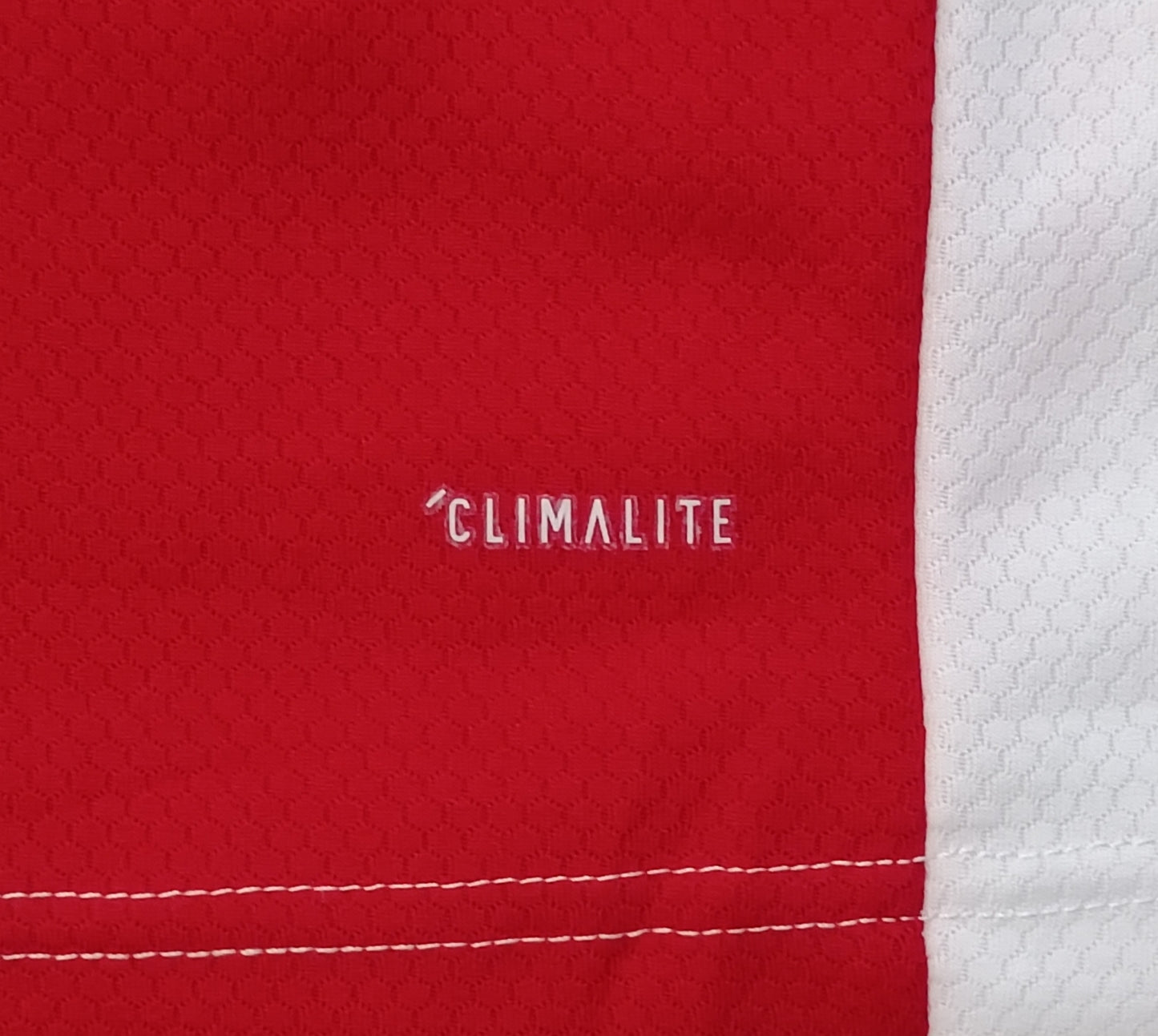 (L) Adidas Ajax Amsterdam 2019/20 Home Jersey тениска